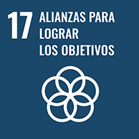 ODS 17